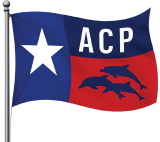 ALLEN CIVIL PROCESS SERVICE TEXAS